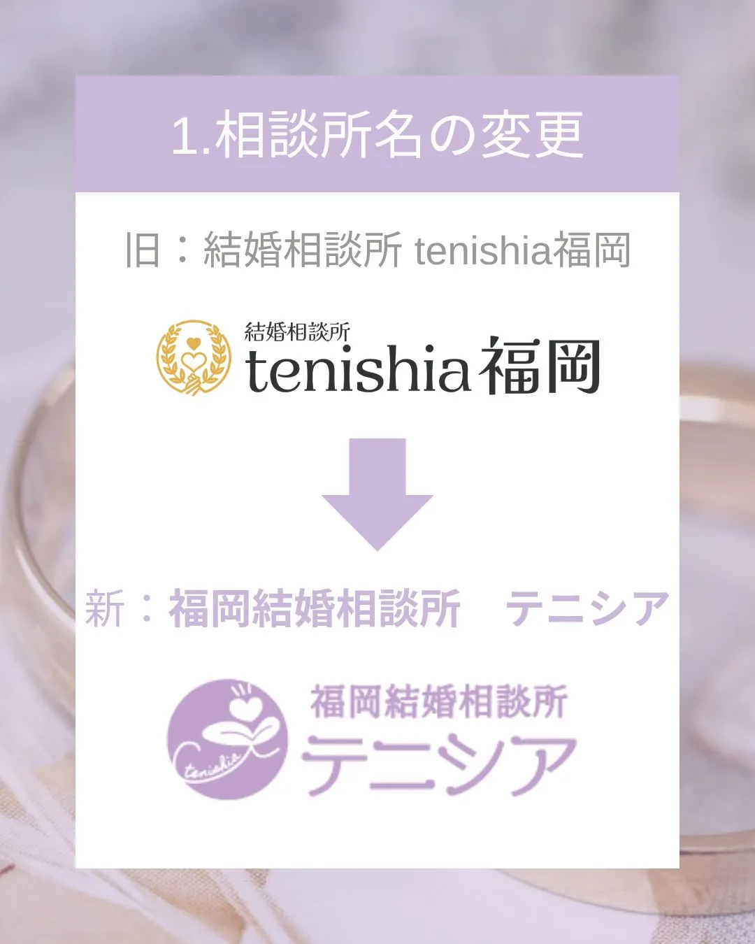 🎉tenishia福岡がリニューアルオープンします！🎉