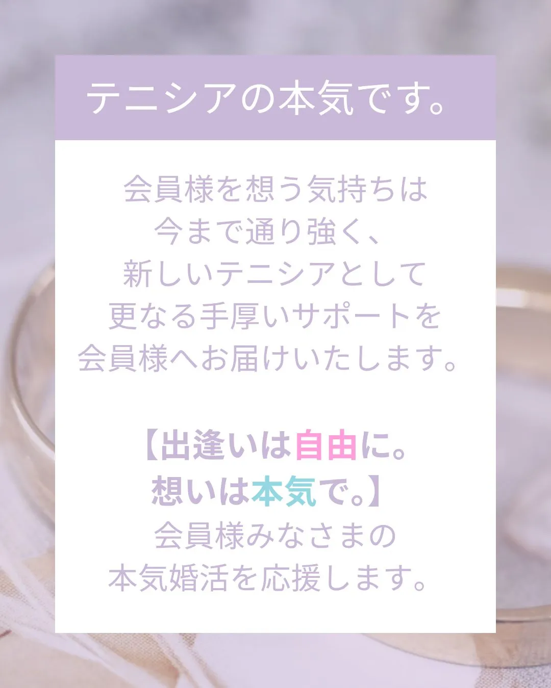 🎉tenishia福岡がリニューアルオープンします！🎉